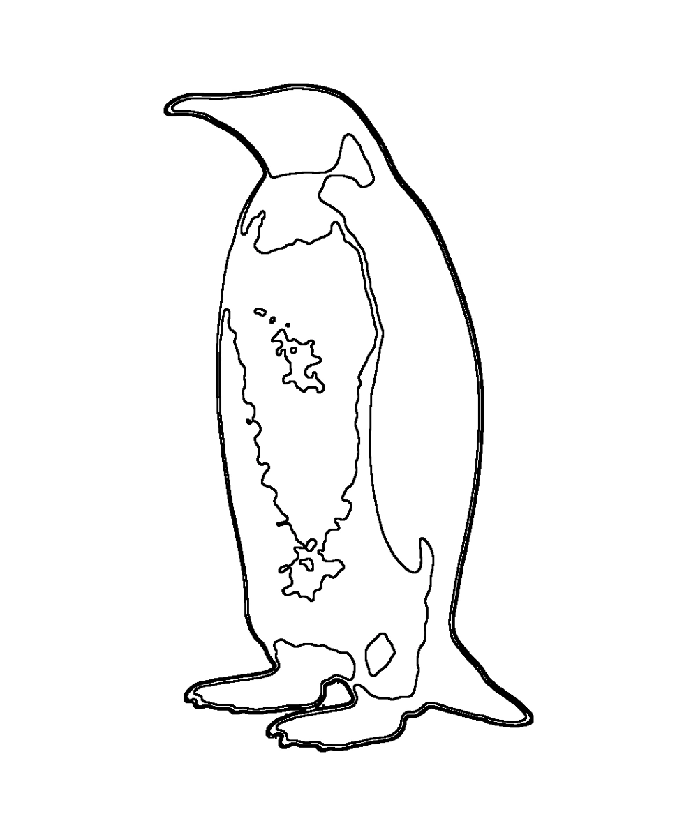 Emperor Penguin · Coloring pages