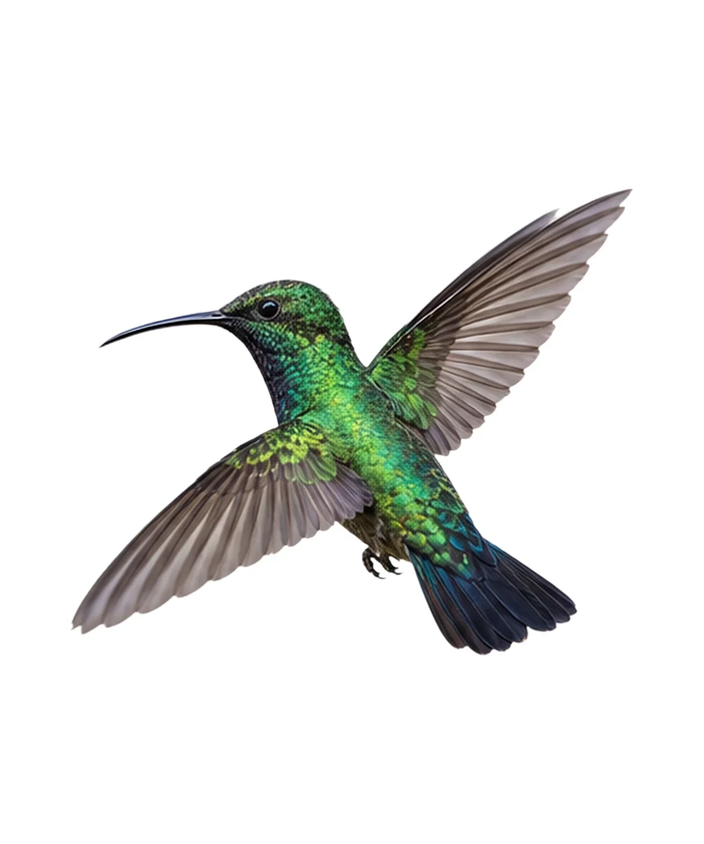 Green Mango · Original color inspiration